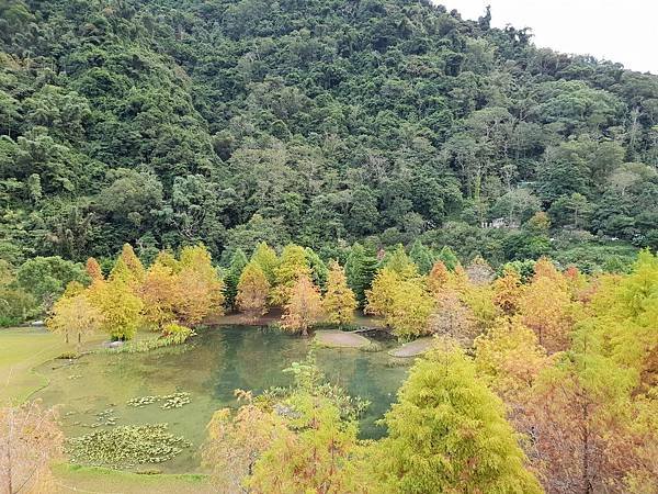 苗栗縣南庄鄉南庄雲水度假森林：羽松湖草原 (19).jpg