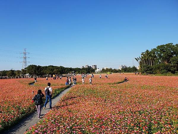 亞亞的龍潭花彩節 (19).jpg