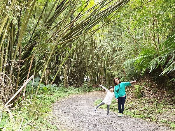 宜蘭縣礁溪鄉林美石磐步道 (8).jpg