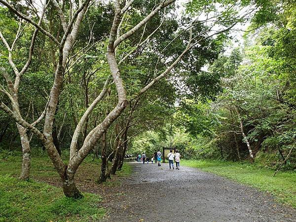 宜蘭縣礁溪鄉林美石磐步道 (17).jpg