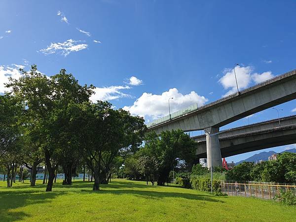 台北市圓山自然景觀公園 (13).jpg