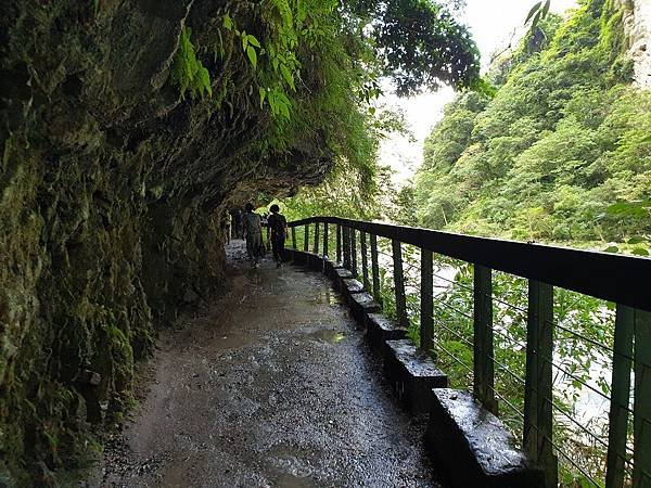 花蓮縣秀林鄉砂卡礑步道 (2).jpg