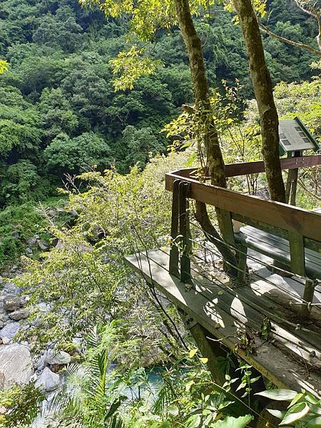 花蓮縣秀林鄉砂卡礑步道 (7).jpg