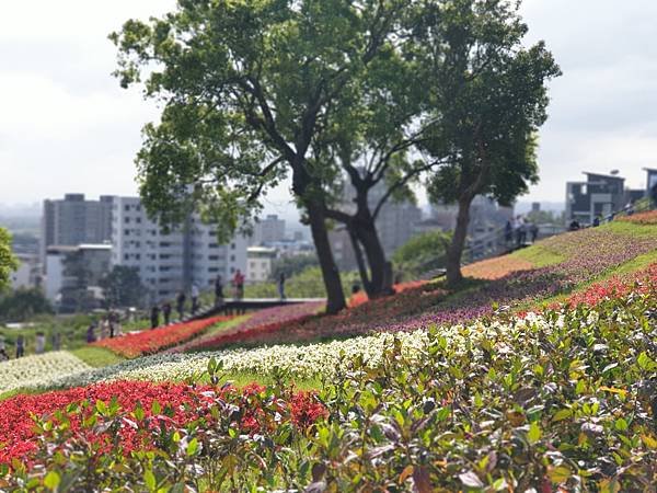 亞亞的北投北海道 (6).jpg