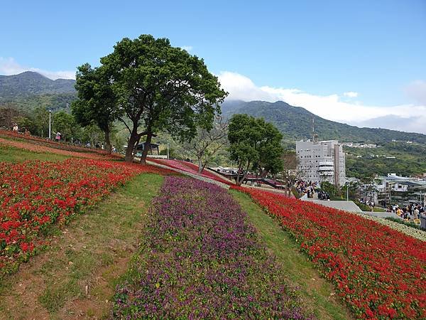 亞亞的北投北海道 (21).jpg