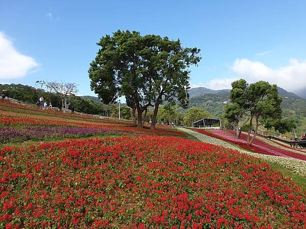 亞亞的北投北海道 (22).jpg