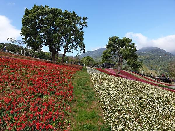 亞亞的北投北海道 (23).jpg