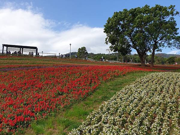 亞亞的北投北海道 (24).jpg