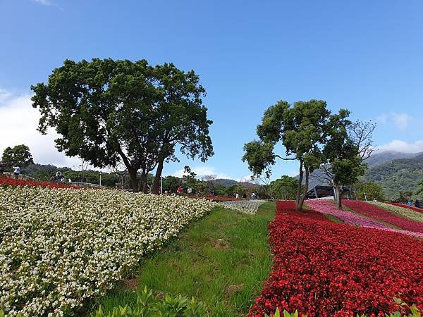 亞亞的北投北海道 (25).jpg