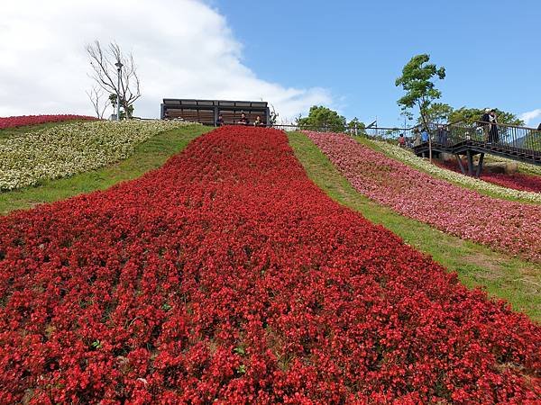 亞亞的北投北海道 (35).jpg