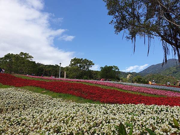 亞亞的北投北海道 (36).jpg