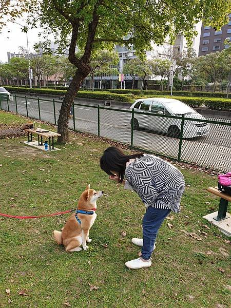 マル的北勢湖公園 (16).jpg