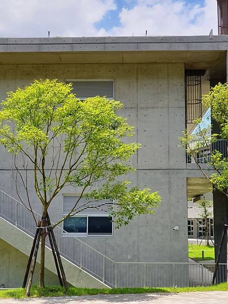 台北市國立政治大學達賢圖書館 (8).jpg