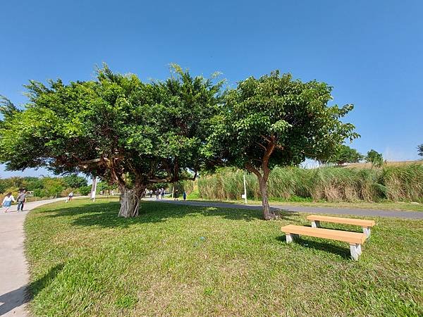 亞亞小遊水湳中央公園 (28).jpg