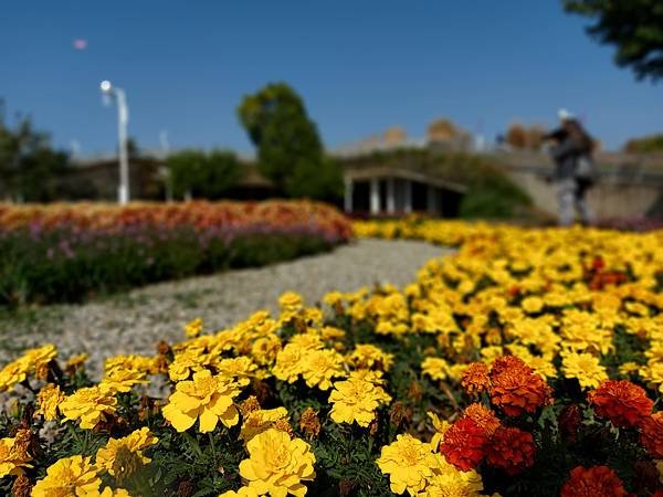 亞亞小遊水湳中央公園 (42).jpg