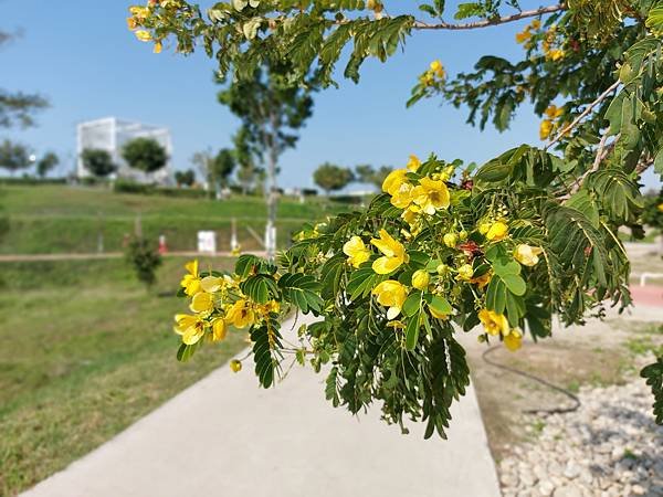 亞亞小遊水湳中央公園 (84).jpg