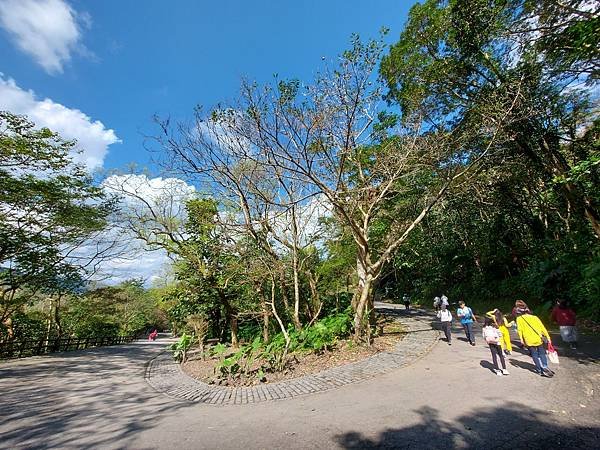 亞亞的仁山植物園 (6).jpg