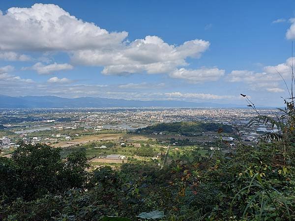 亞亞的仁山植物園 (24).jpg