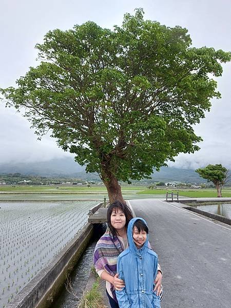 亞亞的池上伯朗大道 (7).jpg