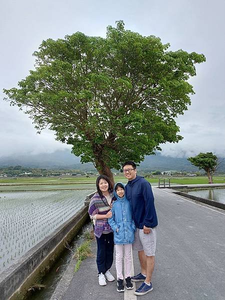 亞亞的池上伯朗大道 (8).jpg