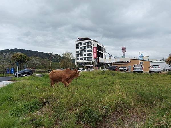 亞亞的台東初體驗 (28).jpg