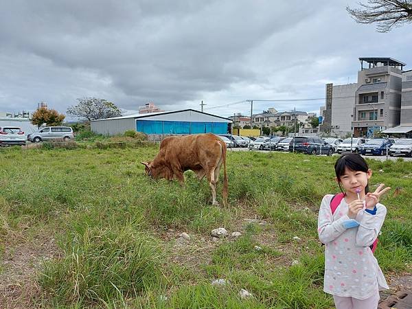 亞亞的台東初體驗 (29).jpg