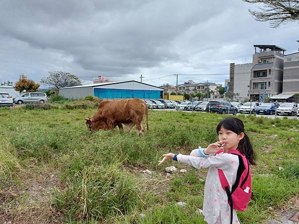 亞亞的台東初體驗 (30).jpg