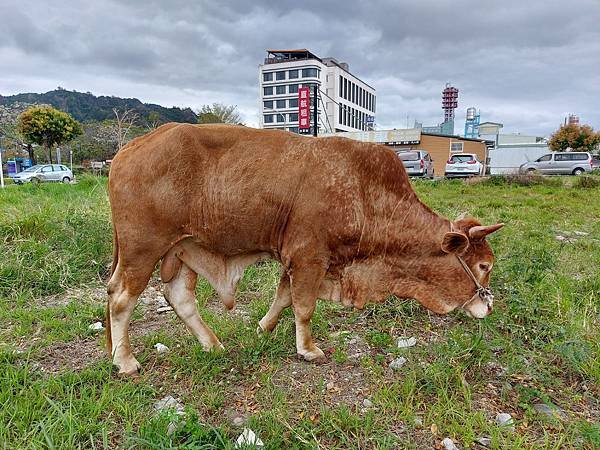 亞亞的台東初體驗 (35).jpg