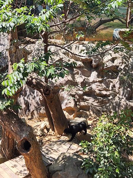 亞亞的新竹公園+新竹市立動物園 (8).jpg