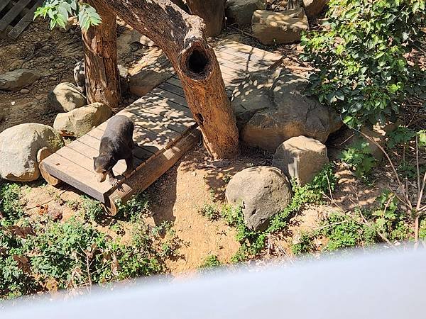 亞亞的新竹公園+新竹市立動物園 (9).jpg