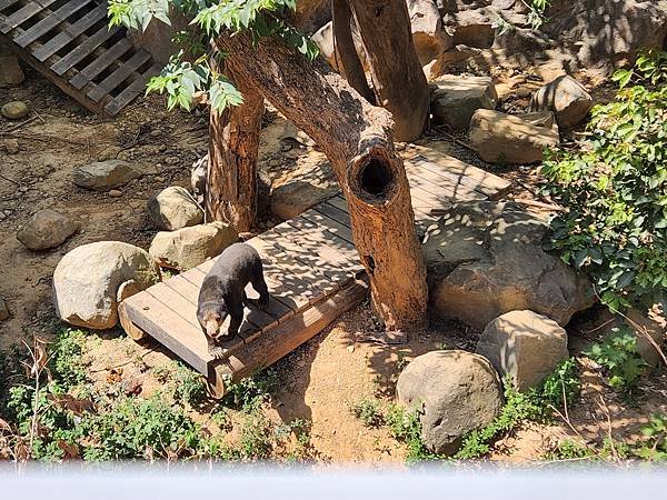 亞亞的新竹公園+新竹市立動物園 (10).jpg