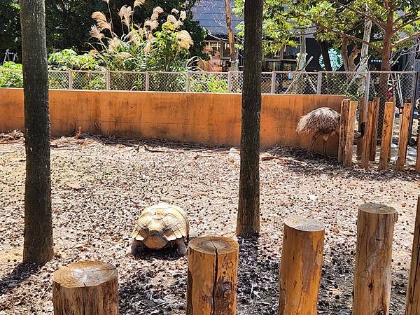 亞亞的新竹公園+新竹市立動物園 (13).jpg