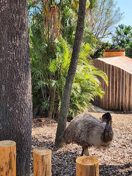 亞亞的新竹公園+新竹市立動物園 (14).jpg