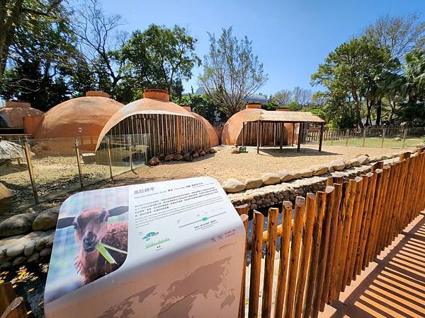 亞亞的新竹公園+新竹市立動物園 (26).jpg