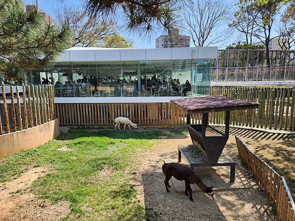 亞亞的新竹公園+新竹市立動物園 (39).jpg