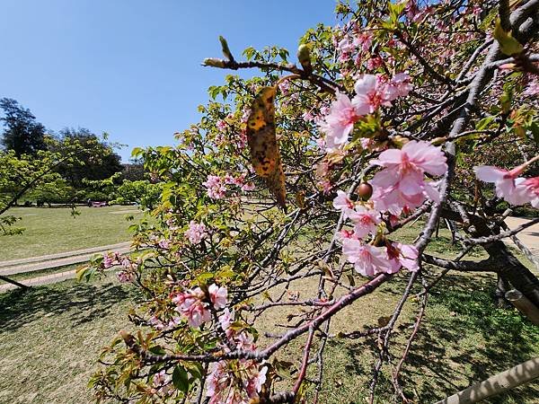 亞亞的新竹公園+新竹市立動物園 (58).jpg