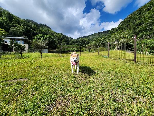 マル與姊姊的小旅行《跑跑》 (81).jpg