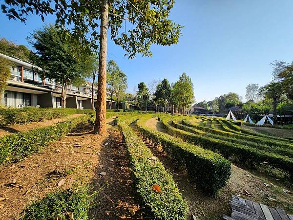 泰國清邁Veranda High Resort Chiang Mai (4).jpg