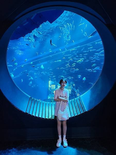 日本沖縄県iias沖縄豊崎：DMMかりゆし水族館 (1).jpg