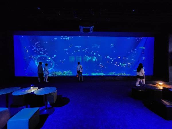 日本沖縄県iias沖縄豊崎：DMMかりゆし水族館 (12).jpg