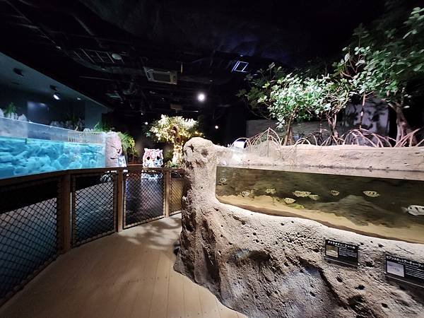 日本沖縄県iias沖縄豊崎：DMMかりゆし水族館 (67).jpg