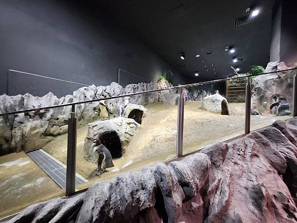 日本沖縄県iias沖縄豊崎：DMMかりゆし水族館 (72).jpg