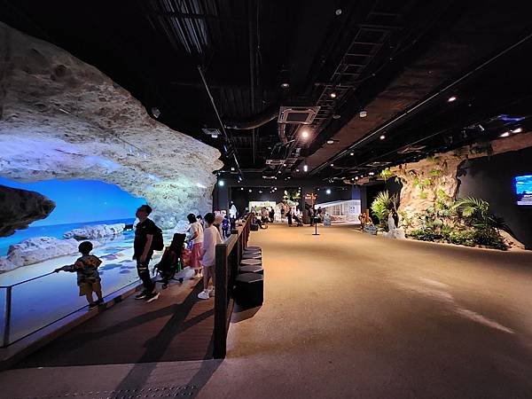 日本沖縄県iias沖縄豊崎：DMMかりゆし水族館 (80).jpg