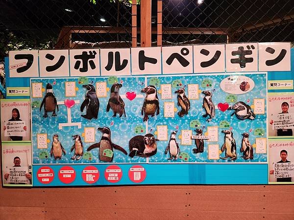 日本沖縄県iias沖縄豊崎：DMMかりゆし水族館 (79).jpg