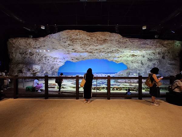 日本沖縄県iias沖縄豊崎：DMMかりゆし水族館 (82).jpg