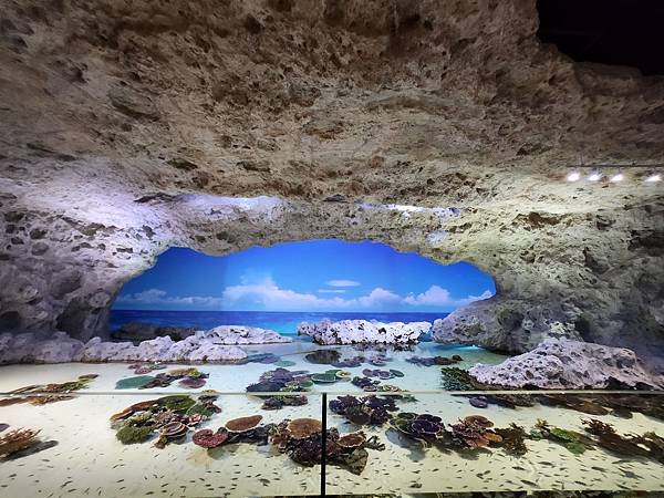 日本沖縄県iias沖縄豊崎：DMMかりゆし水族館 (83).jpg