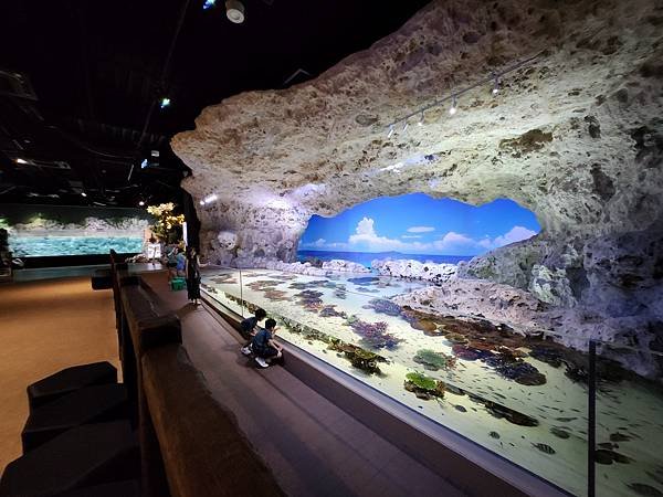 日本沖縄県iias沖縄豊崎：DMMかりゆし水族館 (91).jpg