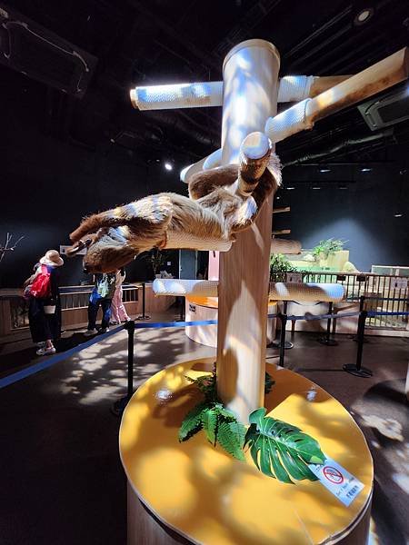 日本沖縄県iias沖縄豊崎：DMMかりゆし水族館 (92).jpg