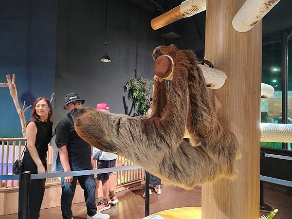 日本沖縄県iias沖縄豊崎：DMMかりゆし水族館 (109).jpg