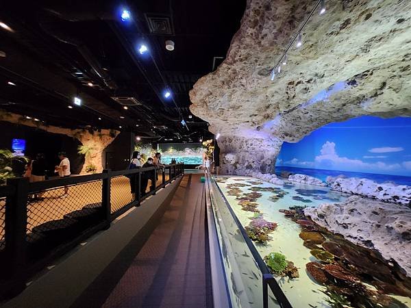 日本沖縄県iias沖縄豊崎：DMMかりゆし水族館 (112).jpg